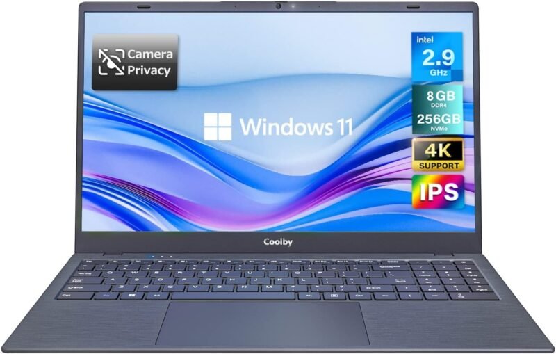 Coolby 15.6" FHD, Intel N5095 = Core i3-1115G4, 12 RAM, 256 GB SSD